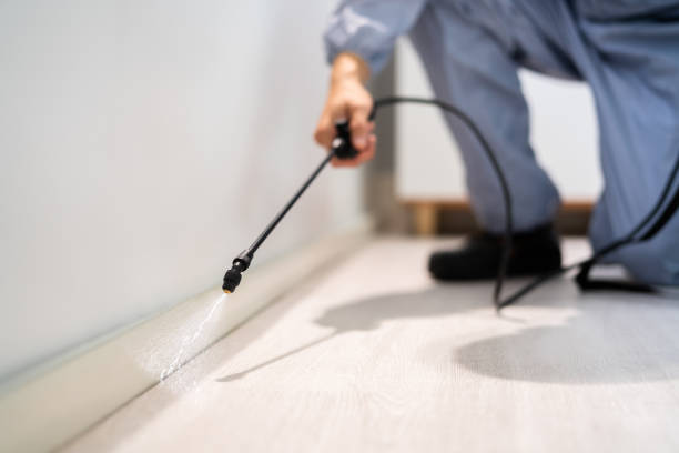 Licensed Termite Control service in Blanchard, OK - Nex Pest Control