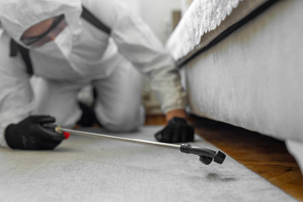Professional Termite Control technician working in Blanchard, OK