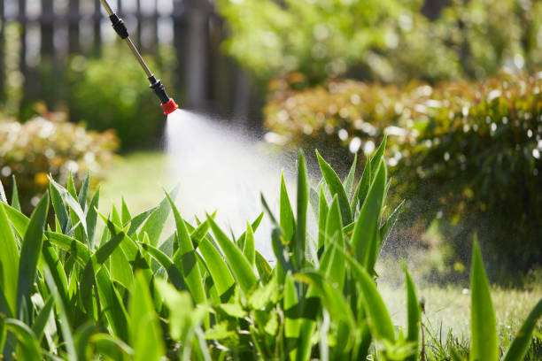 24/7 Emergency Termite Control experts in Blanchard, OK