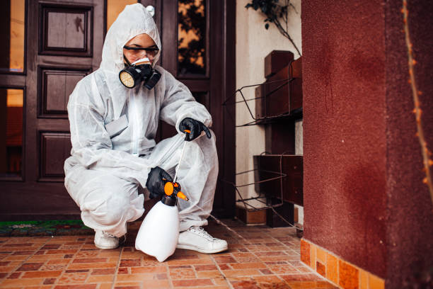 Reliable Termite Control contractor in Blanchard, OK by Nex Pest Control