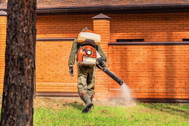 Top rated local Termite Control specialists in Blanchard, OK